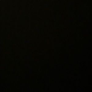 Meet your Posher, Salatiel